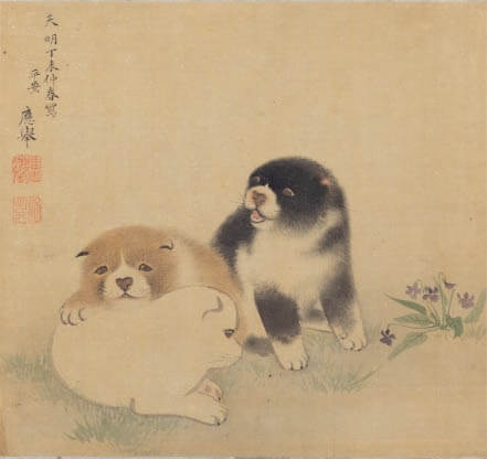 長澤